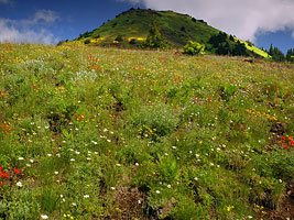 Cone Peak